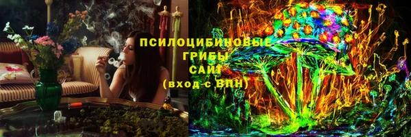 кокс Белокуриха